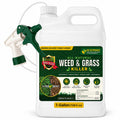 Weed & Grass Killer 1 Gallon with Sprayer T335