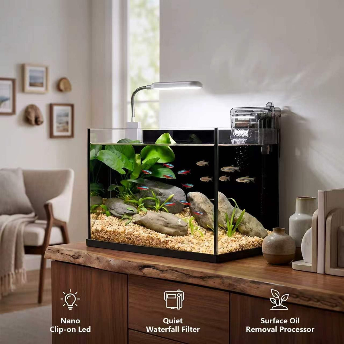 2.8 Gallon Glass Aquarium Starter Kit Y4796