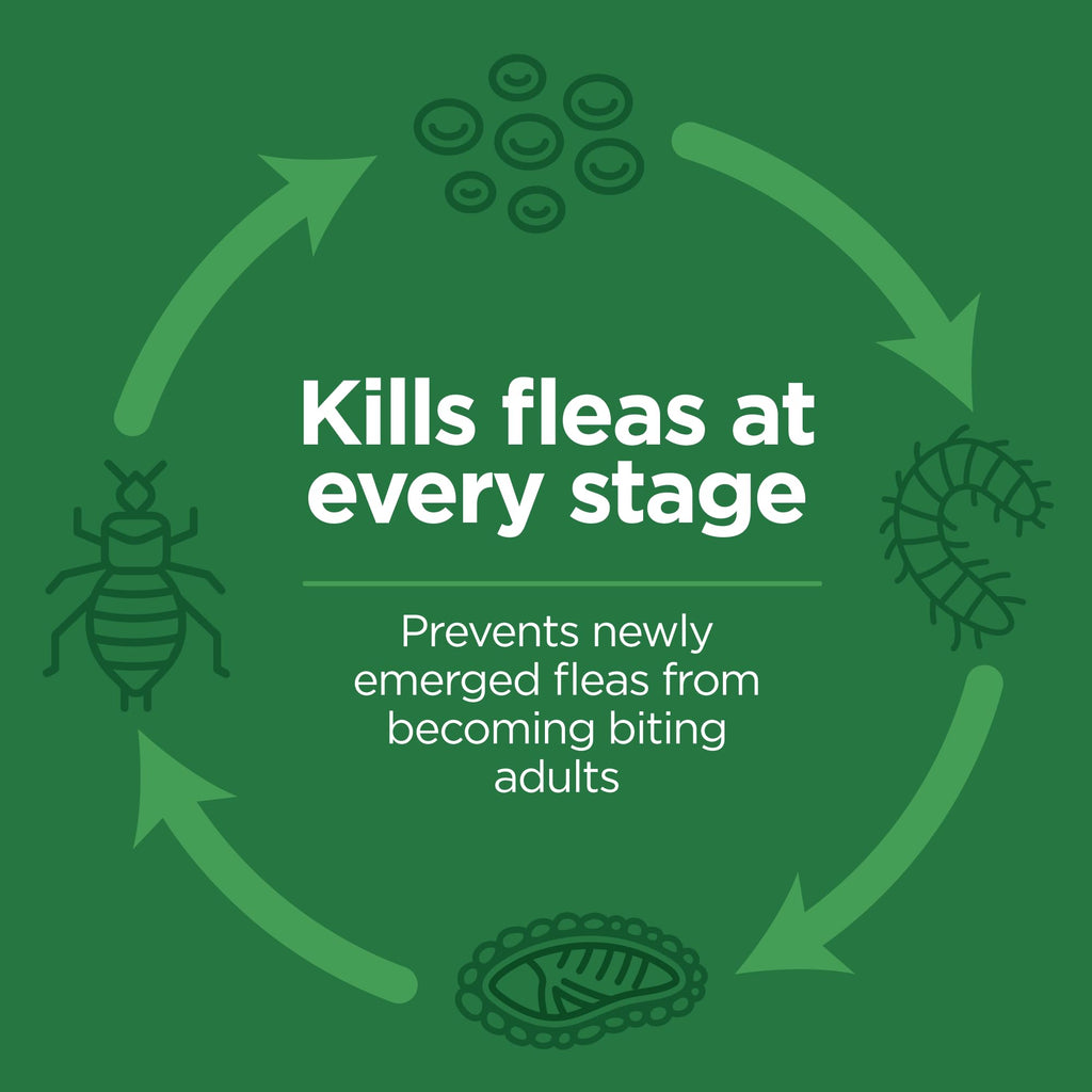 Flea and Tick Topical for Cats 3 Dose Z3209