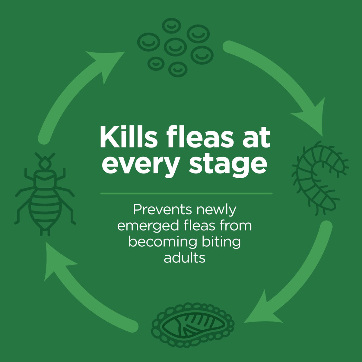 Flea and Tick Topical for Cats 3 Dose Z3209