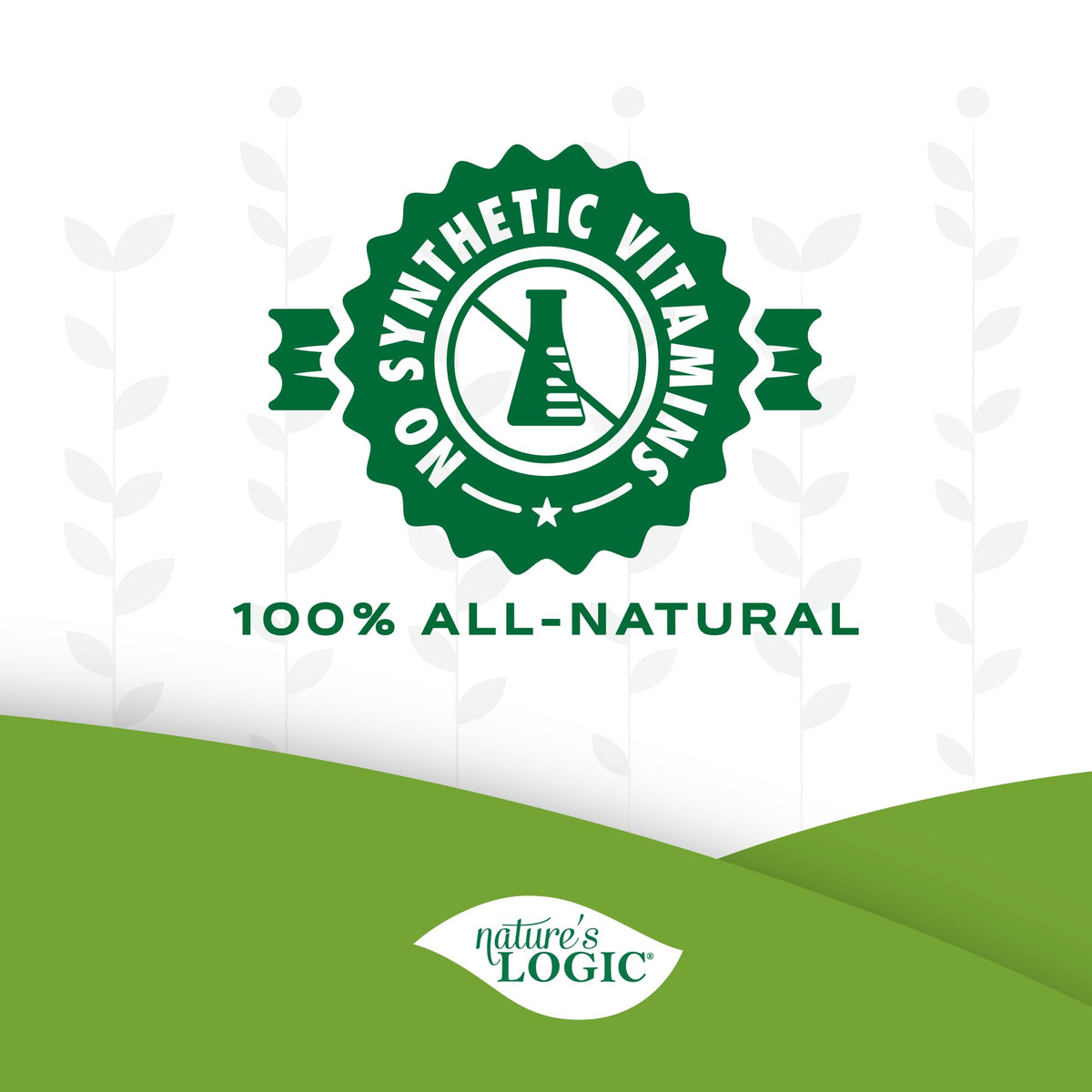 Dehydrated Chicken Bone Broth Powder Dog & Cat Topper 6oz R93660