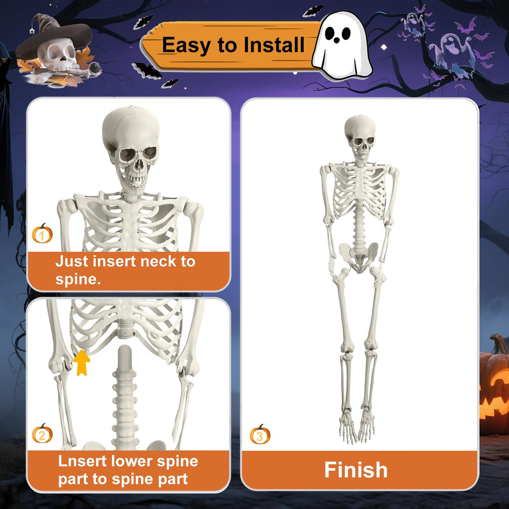 5.4FT Posable Life Size Skeleton N553