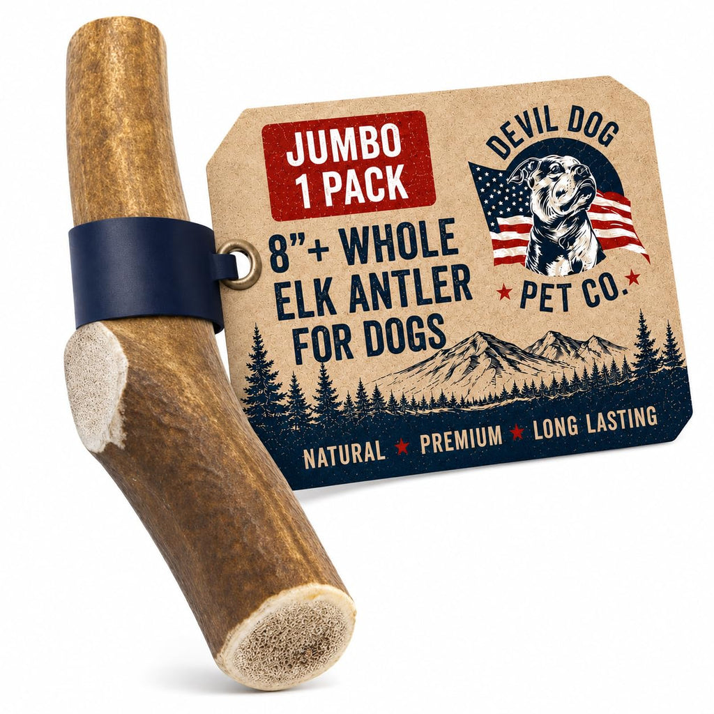 Whole Elk Antlers for Dogs Jumbo Z726567