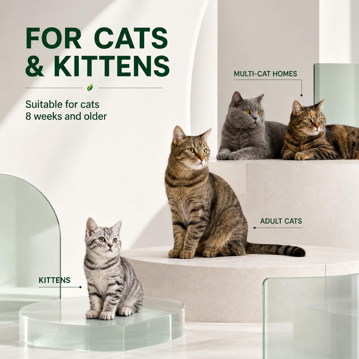 Cat Dewormer for Cats & Kittens H637035