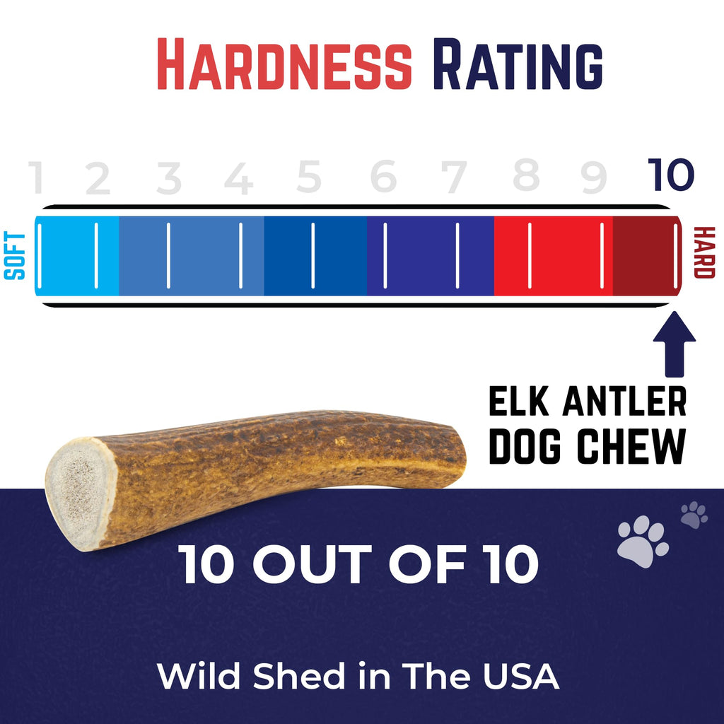 Whole Elk Antlers for Dogs Jumbo Z726567
