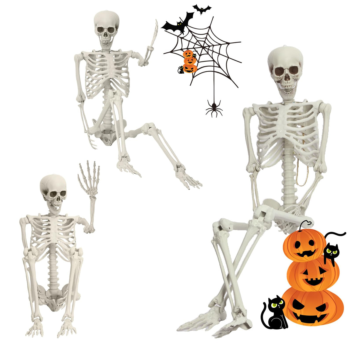 5.4FT Posable Life Size Skeleton N553