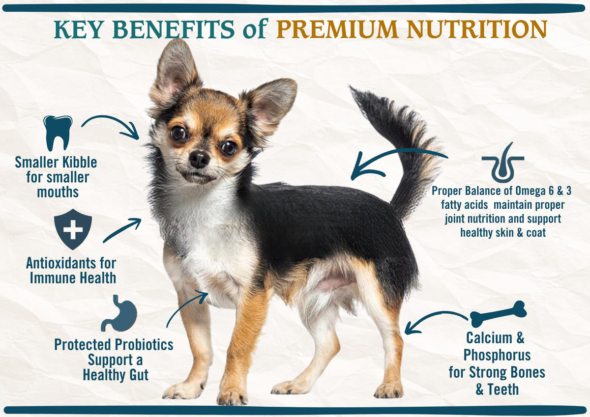 Natural Premium Small Bites Adult Dry Dog Food, Chicken, Brown Rice & Turkey 28lb K173261