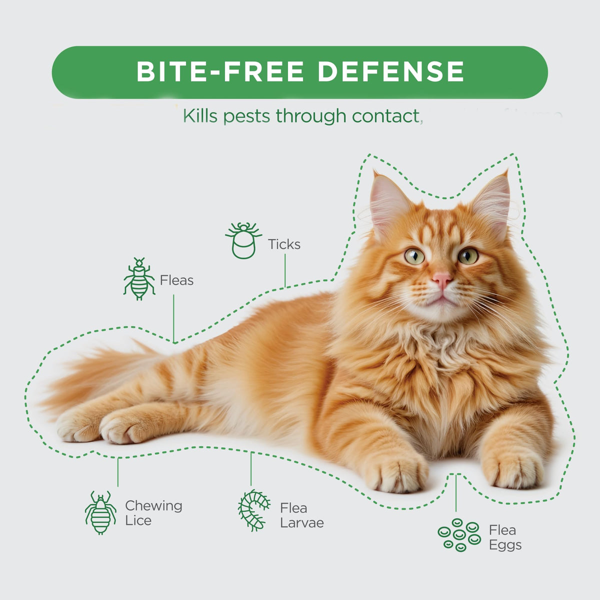 Flea and Tick Topical for Cats 3 Dose Z3209