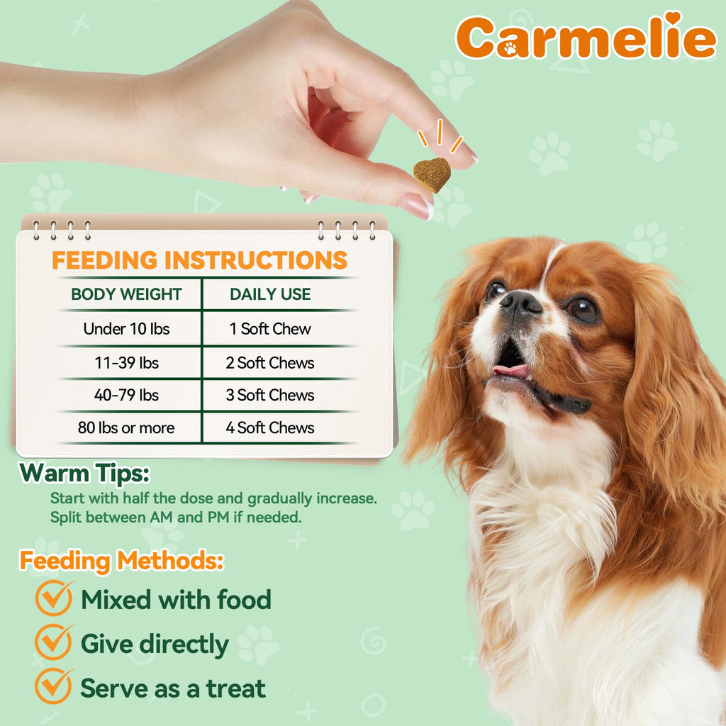 Flea and Tick Prevention for Dogs X920837