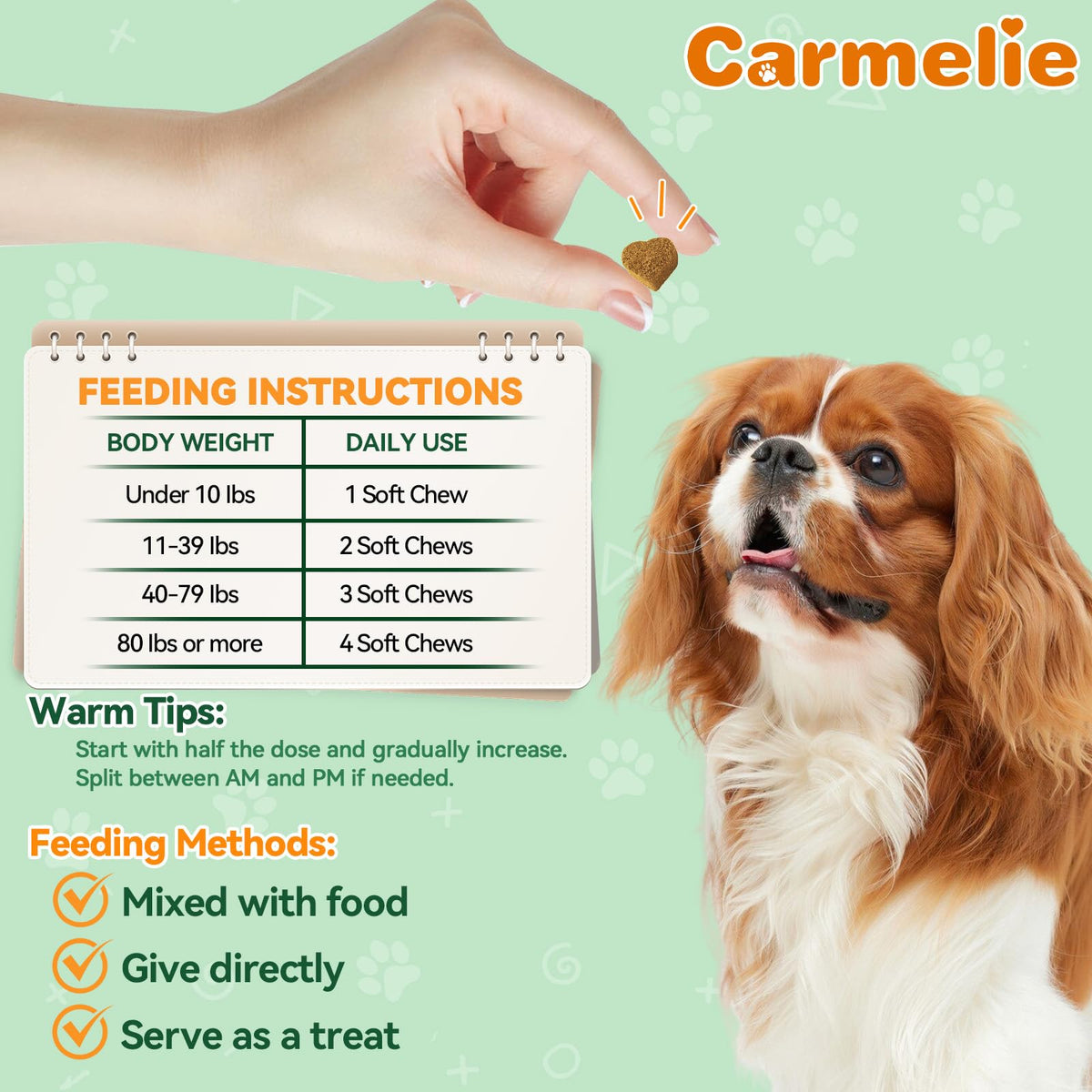 Flea and Tick Prevention for Dogs X920837