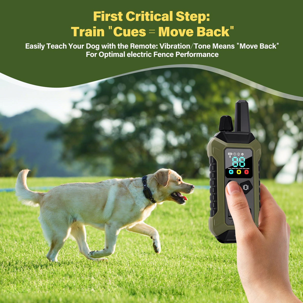 Wireless Dog Collar Fence System with Remote Training T462149