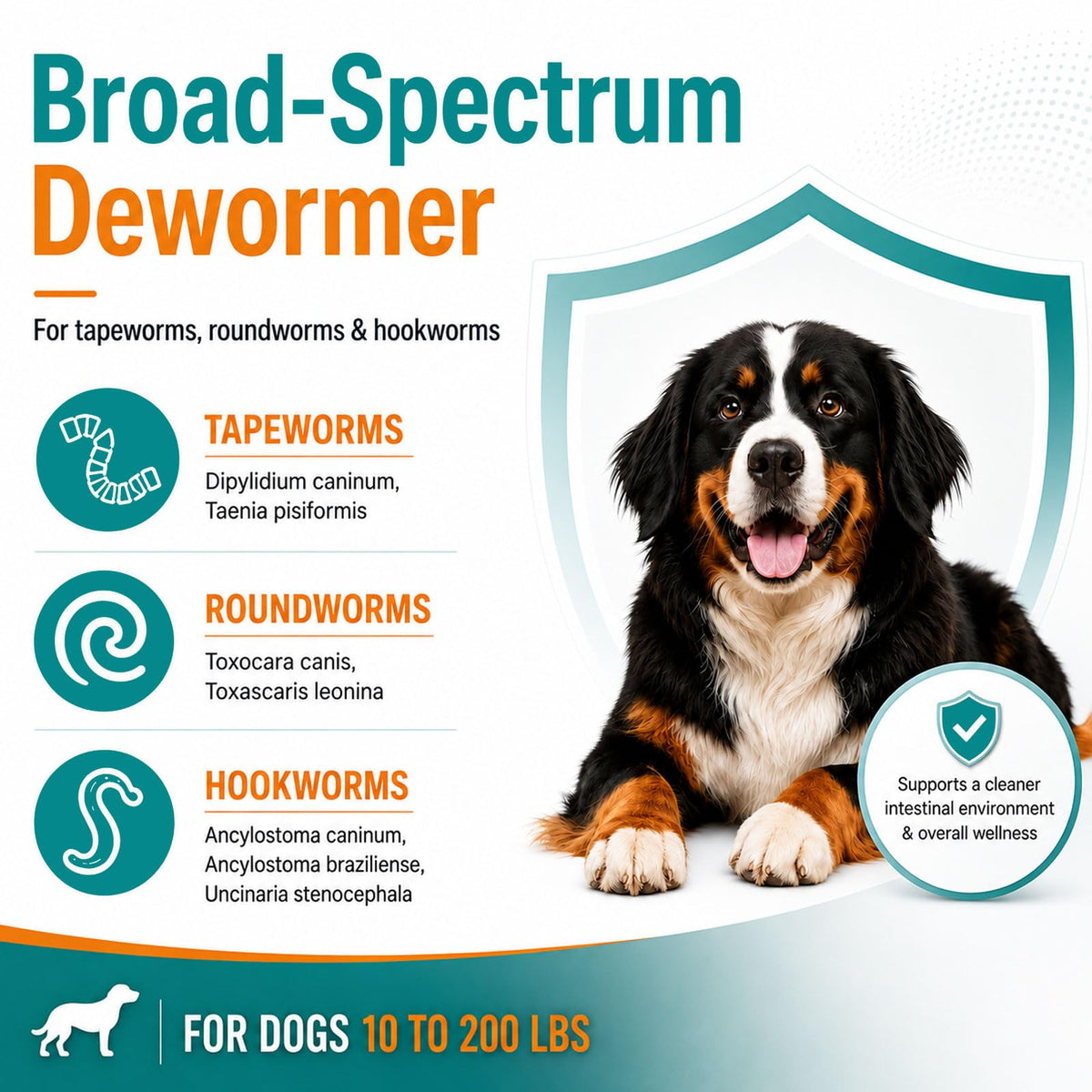Dog Dewormer 48 Count O68352