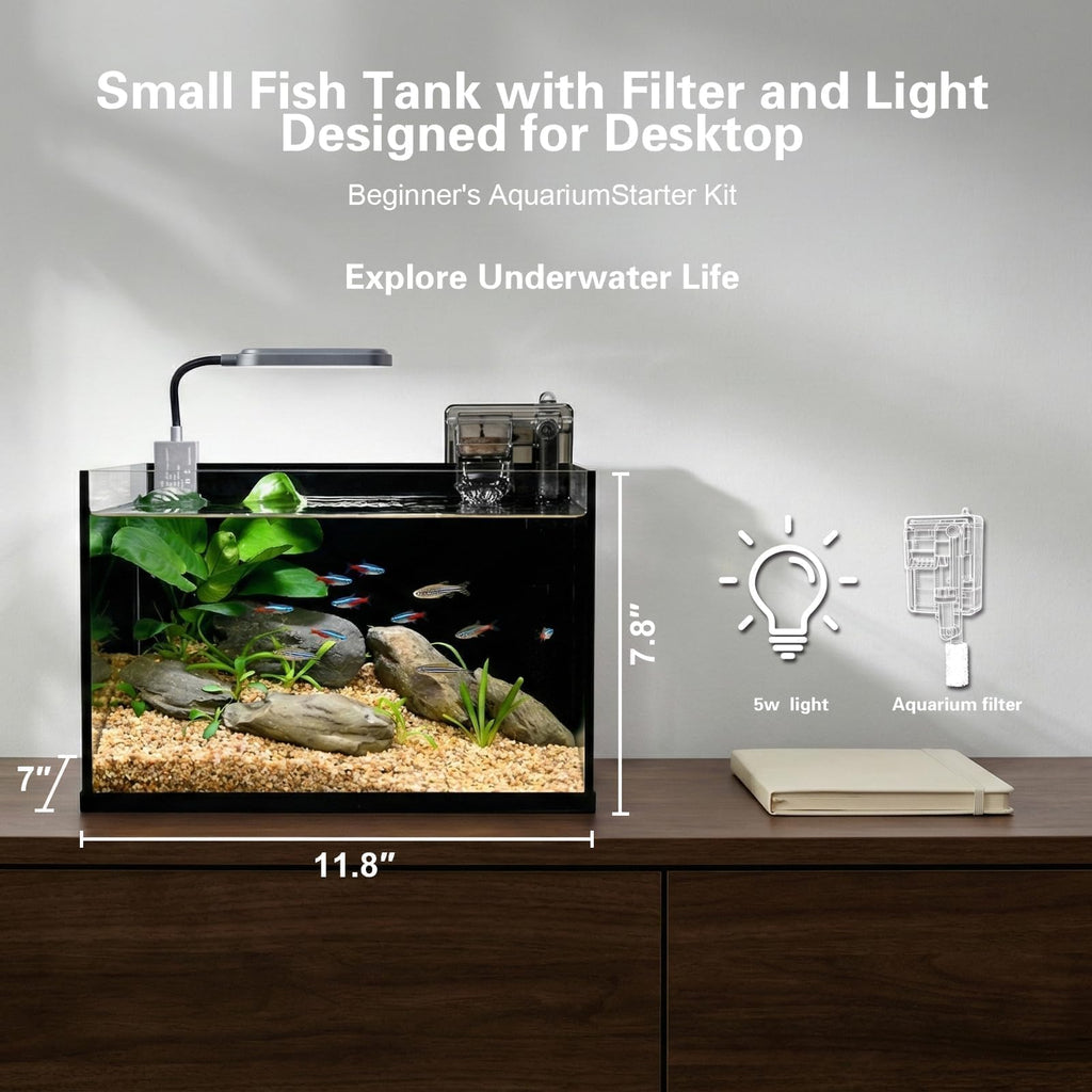 2.8 Gallon Glass Aquarium Starter Kit Y4796