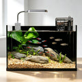 2.8 Gallon Glass Aquarium Starter Kit Y4796