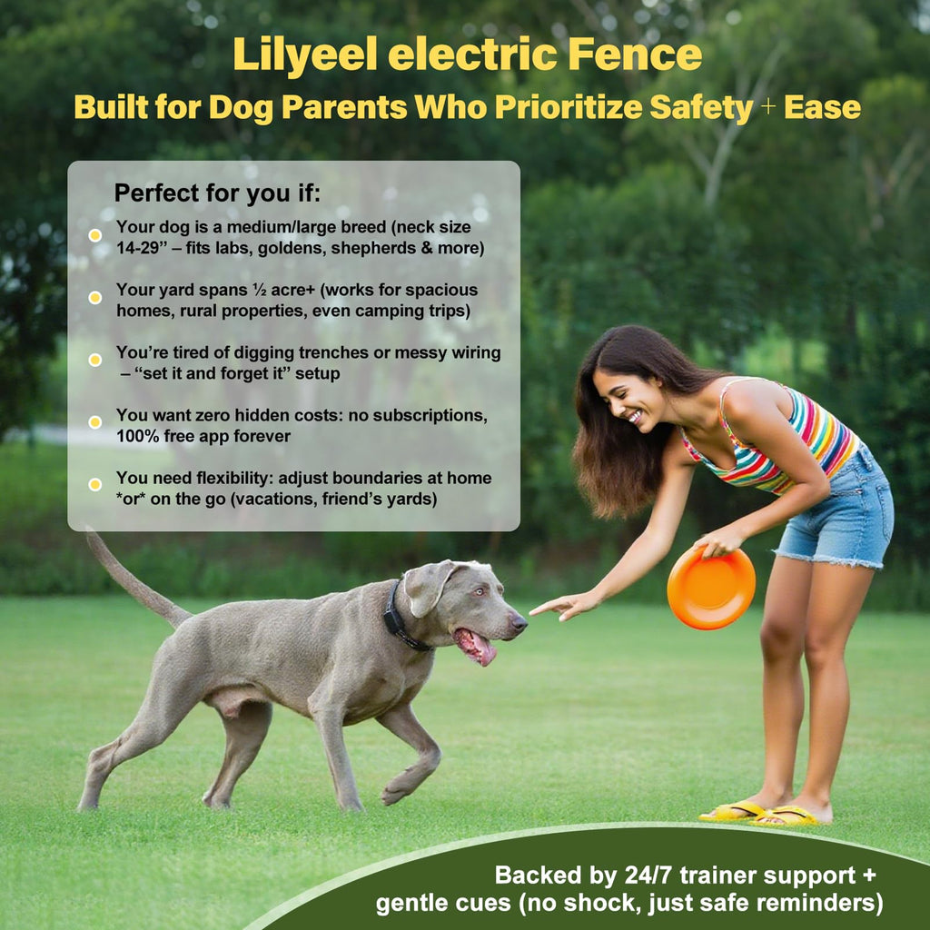 Wireless Dog Collar Fence System with Remote Training T462149