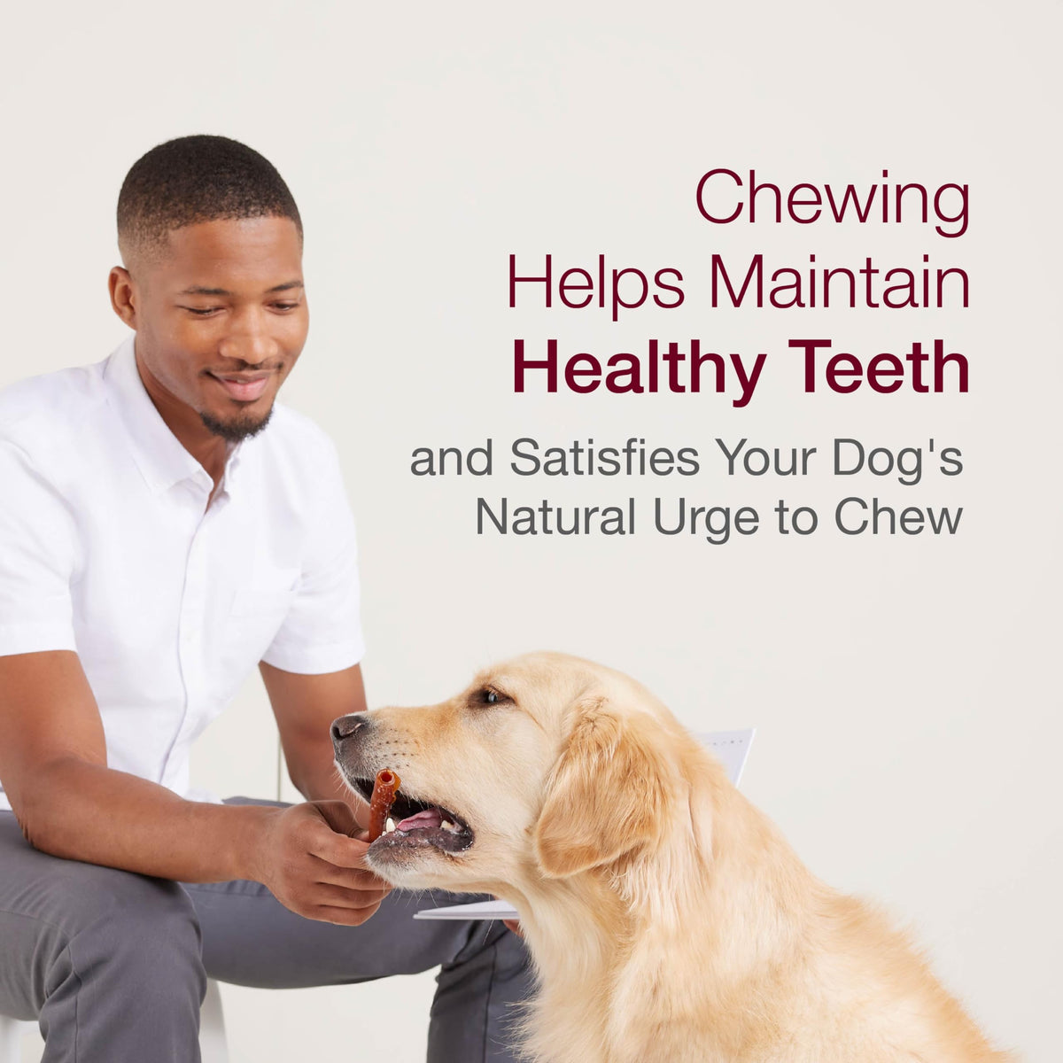 Peanut Butter Rawhide-Free Dog Treats 50 Count H4297