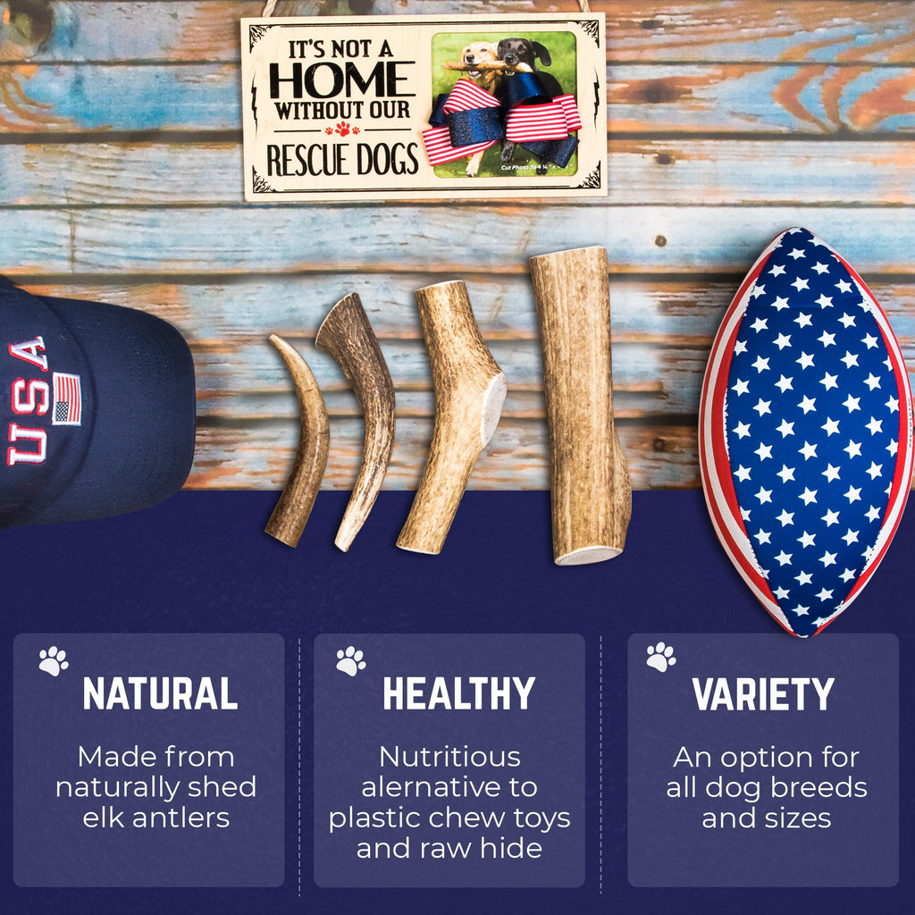 Whole Elk Antlers for Dogs Jumbo Z726567