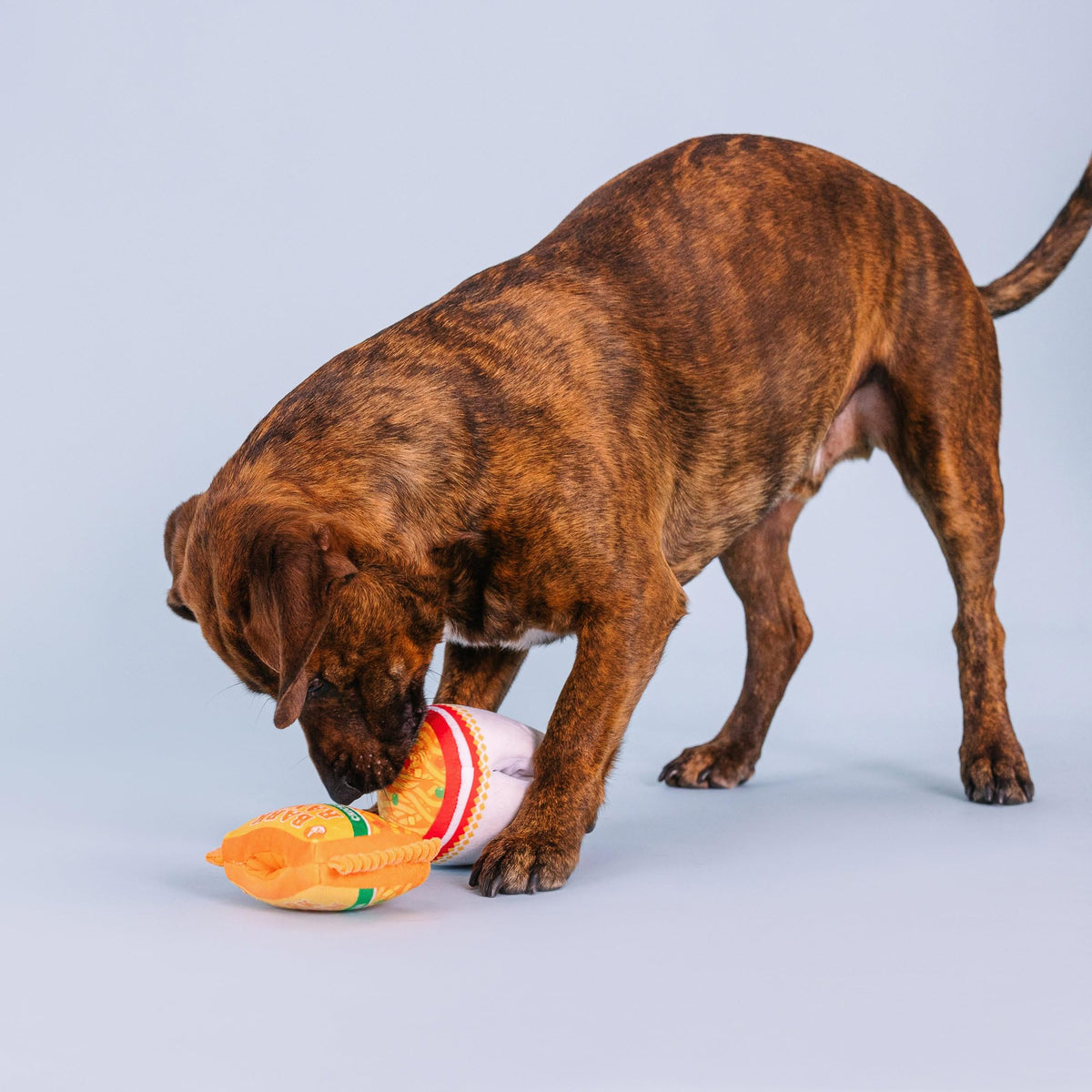 Plush Dog Toy Set with Treat Pockets, 2 Piece Set Z570