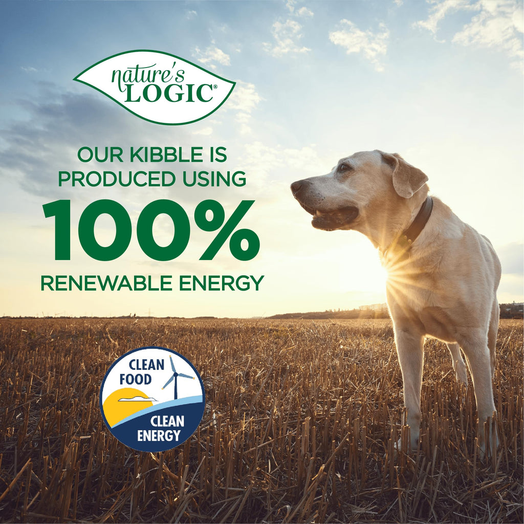 Dehydrated Chicken Bone Broth Powder Dog & Cat Topper 6oz R93660