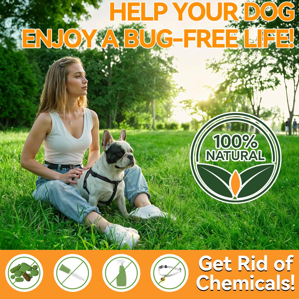 Flea and Tick Prevention for Dogs X920837