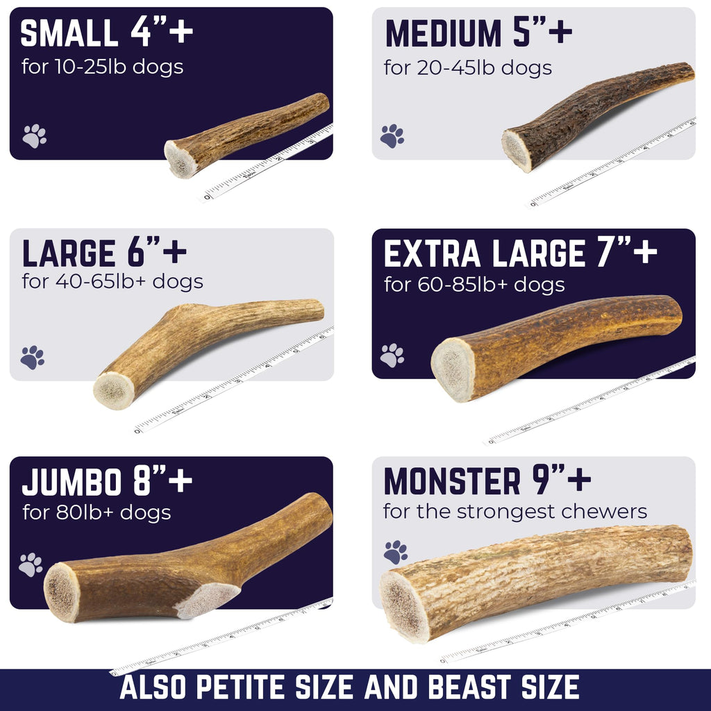 Whole Elk Antlers for Dogs Jumbo Z726567