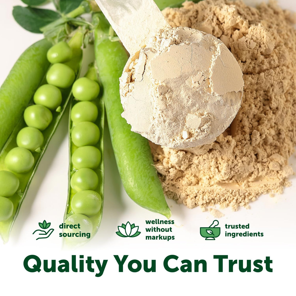 Pea Protein Powder 5lb Vegan I788