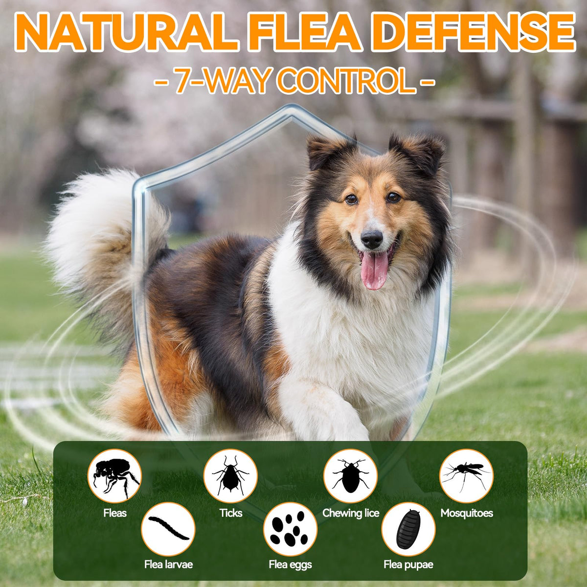 Flea and Tick Prevention for Dogs X920837