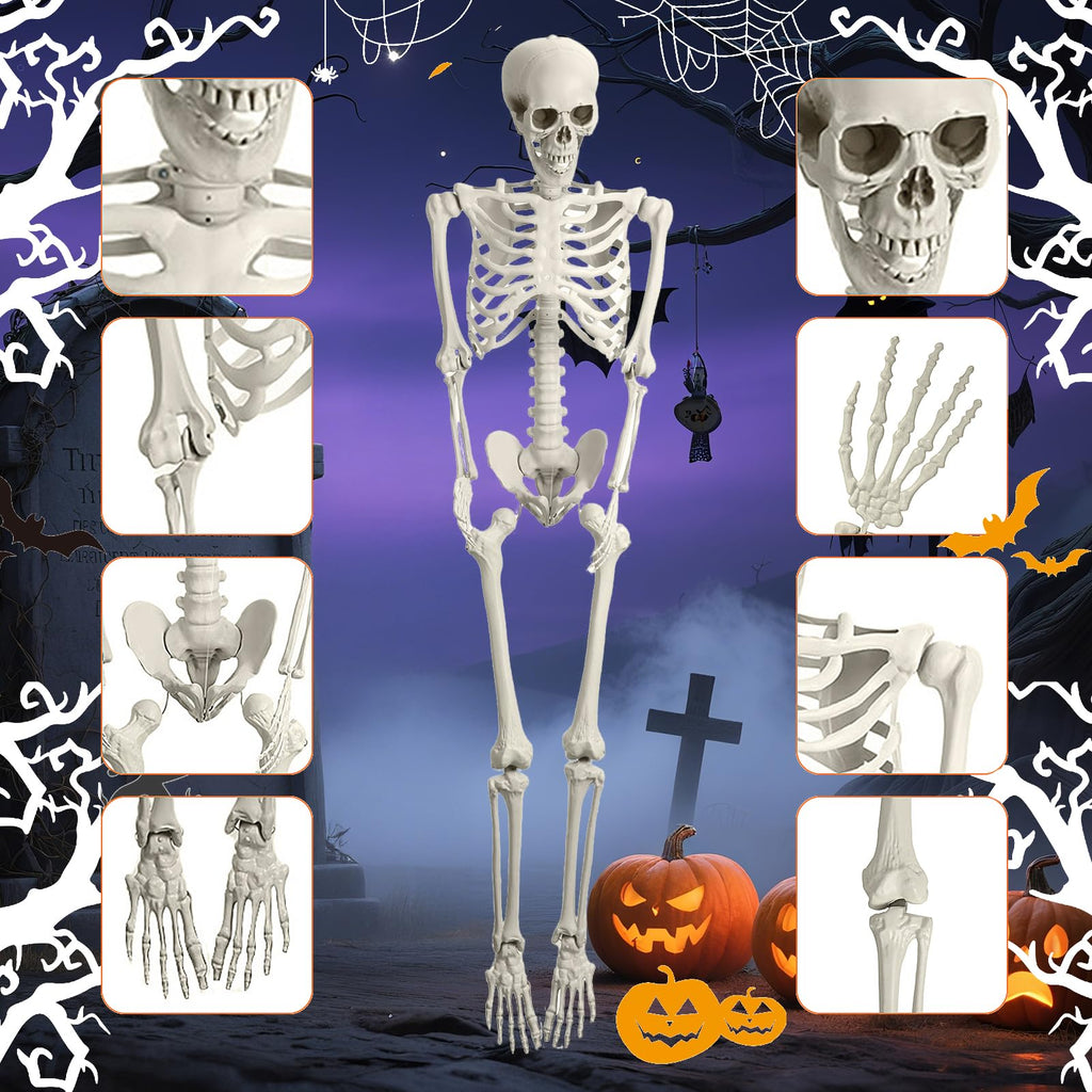 5.4FT Posable Life Size Skeleton N553