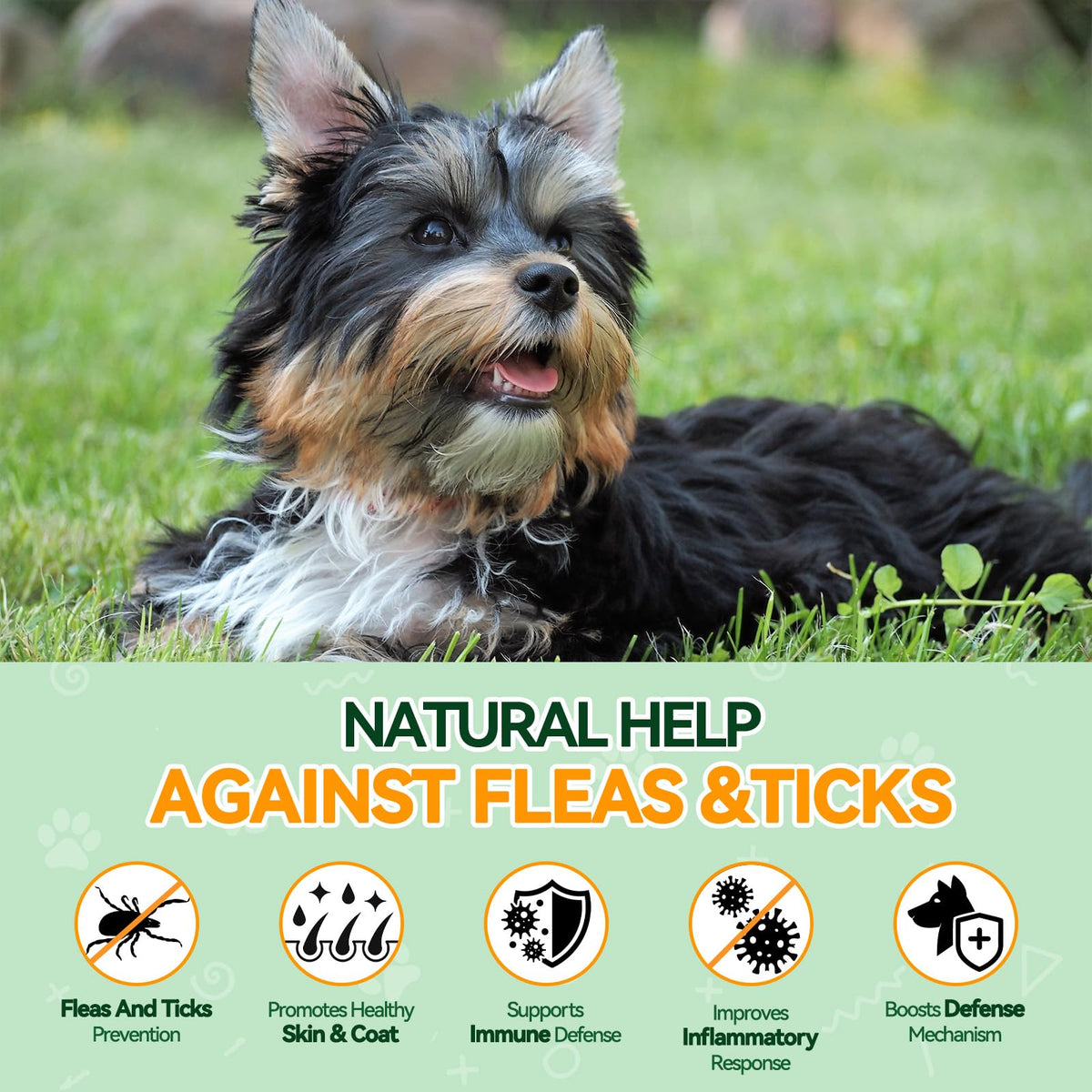 Flea and Tick Prevention for Dogs X920837