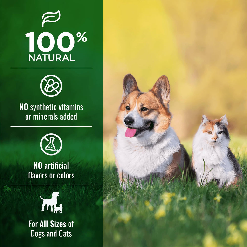 Dehydrated Chicken Bone Broth Powder Dog & Cat Topper 6oz R93660