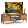 TV Stand with Adjustable Shelf A4110